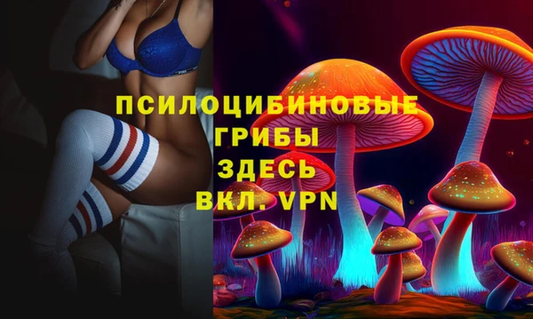 герыч Абаза